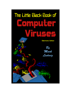 13. The Little Black  Book of Computer Viruses (1)