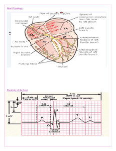 Cardiovascular-Review (1)