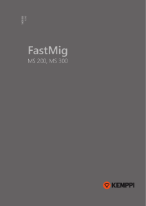 fastmig-ms-om-es 300