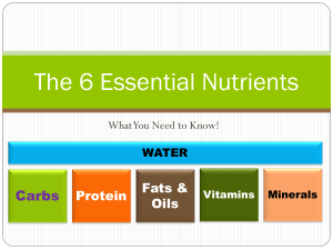 6 Essential Nutrients ( MAPEH 2)