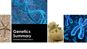 Genetics RT and EXAM revision PPT