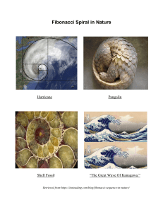 Fibonacci Spiral in Nature