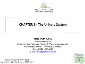 RH HAPII2023 - [Chapt 5 Urinary] 1. Anatomy, Physiology