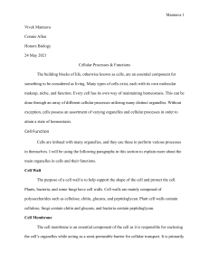 Cellular Processes and Functions - Biology Research Paper
