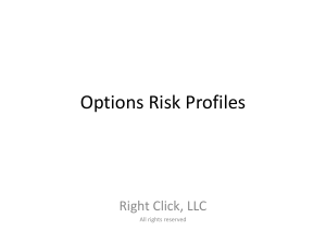 Option Risk Profiles