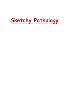 SketchyPath Notes