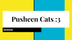 PUSHEEN CATS 3