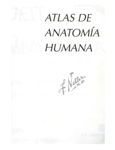 Atlas de Anatomia Humana Netter