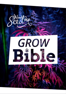 Cannabis grow bible