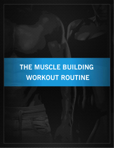 THE MUSCLE BUILDING WORKOUT ROUTINE