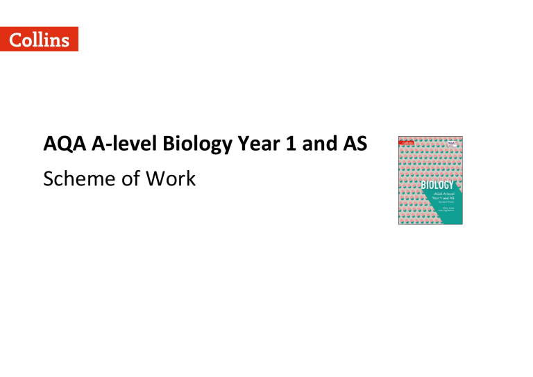 Biology sow year 2