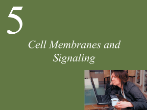 Cell Membranes and Signaling - Chapter 5