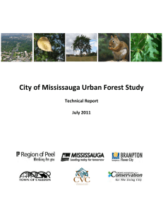 2011 Missasagua UrbanForestStudy