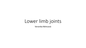 joints of the lower limb