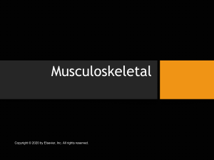 Musculoskeletal-Summer 23