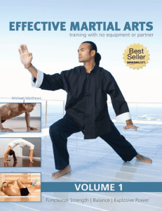 (Volume 2) Matthews, Michael - Effective Martial Arts Training with No Equipment or Partner vol. 1 Functional strength, Balance and Explosive power by (2012)