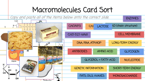 TPT - Macromolecules Card Sort