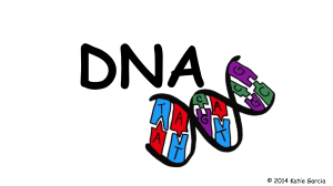 DNA ppt