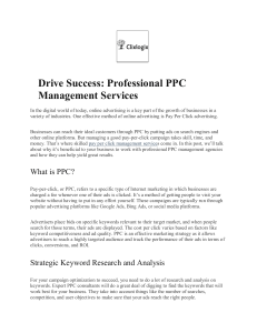 Drive Success Professional PPC Management Services