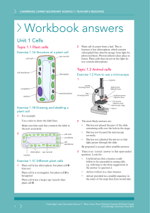 scribd.vpdfs.com workbook-answers-unit-1-cells