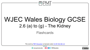 Flashcards - 2.6 The Kidney - WJEC (Wales) Biology GCSE