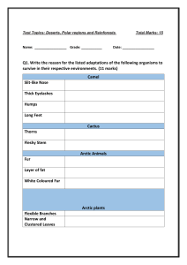 Grade 4 Test Topic: Desert, Poles and Rainforests