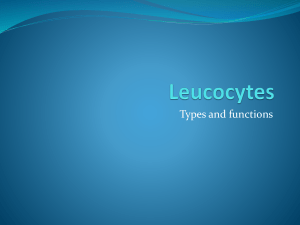 Leucocytes PPT [Autosaved]