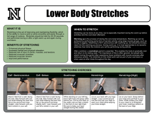 Stretching-Lower