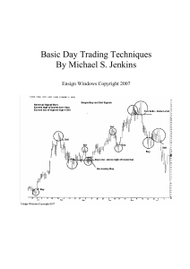 Michael S Jenkins - Basic Day Trading Techniques 2007