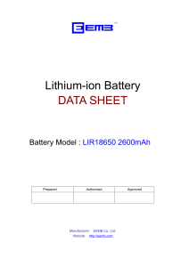 Data Sheet Battery