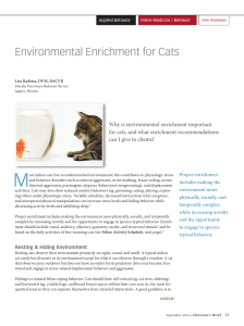 Environmental Enrichment for Cats - Radosta L