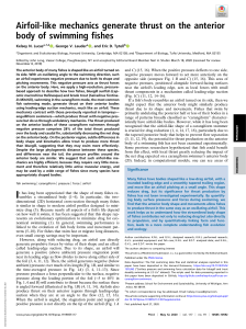 Airfoil-like mechanics generate thrust on the anterior body of swimming fishes