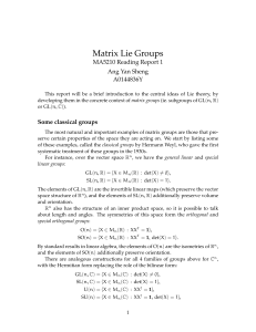 matrix lie groups