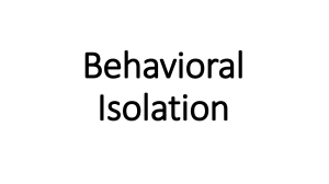 Behavioral-Isolation-Churva