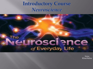 1  Introd-neuroscince-I K-.pptx (5)