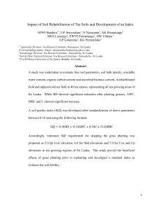 Impact of Soil Rehabilitation of Tea Soils and Development of an Index