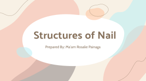 Structures of Nails