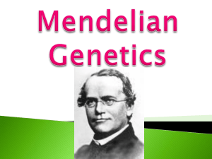 Intro to Mendelian Genetics Slides