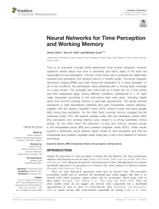 Neural Networks for Time Perception and Working Memory