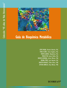 Guia de Bioquimica metabolica V6