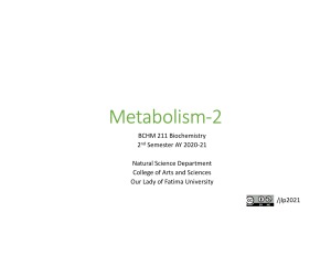 10- Metabolism 2