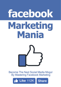 Facebook Marketing Mania