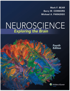 Neuroscience exploring the brain 