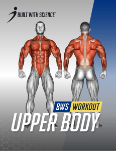 Upper Body Workout Plan | BWS Training