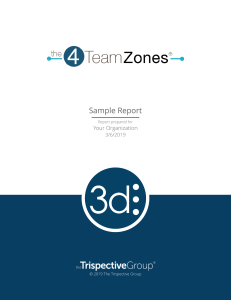 4Team Zones 3D Sample Report