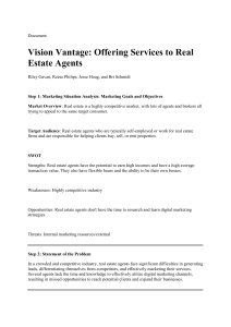 Vision Vantage Marketing Plan