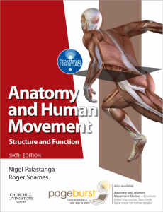 N. Palastanga - Anatomy and human movement 6 Edicio n
