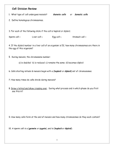 cell division review worksheet