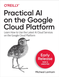 Practicle AI on Google Plateform