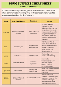 PharmacologyBundle70pages